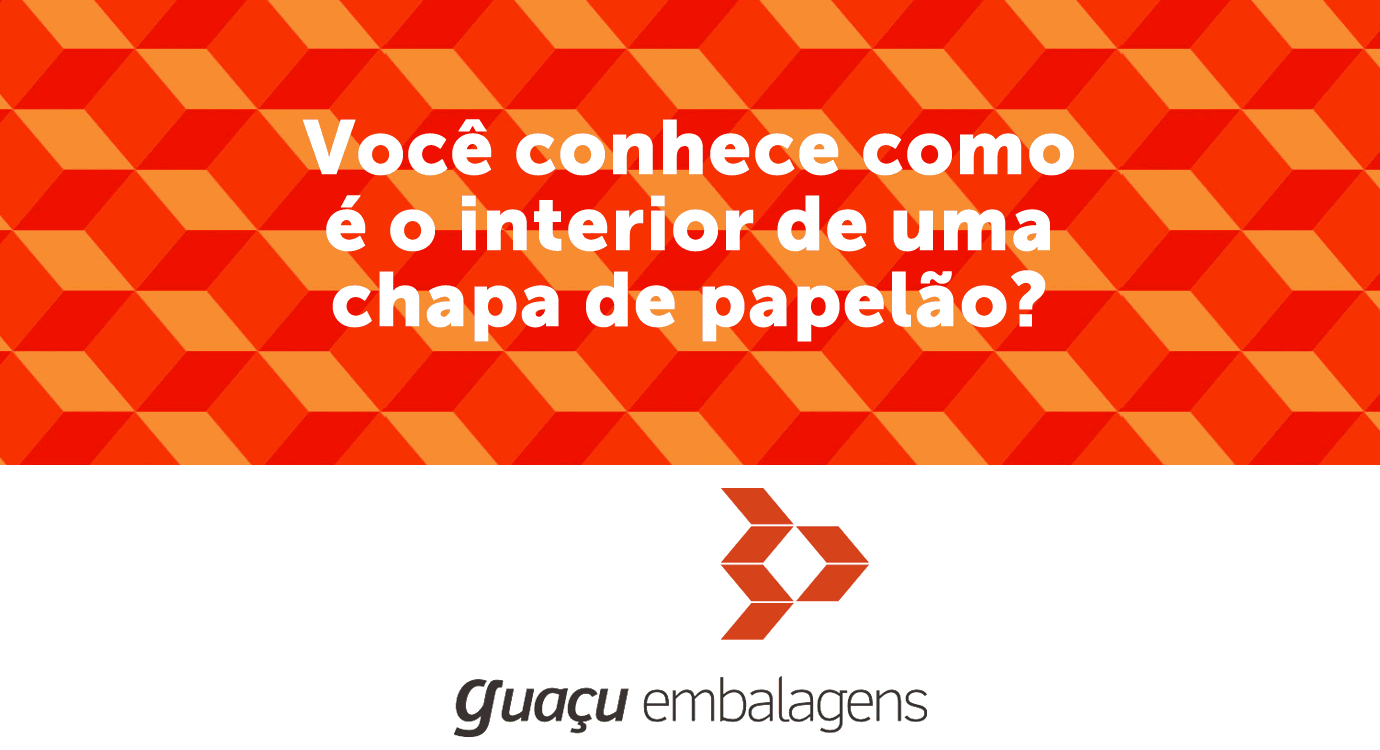 Você conhece como é o interior de uma chapa de papelão?